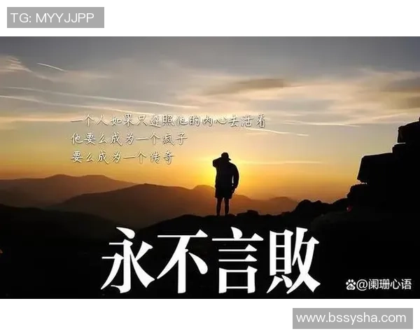 专访杨强：深入探讨篮球成功背后的秘诀与心路历程