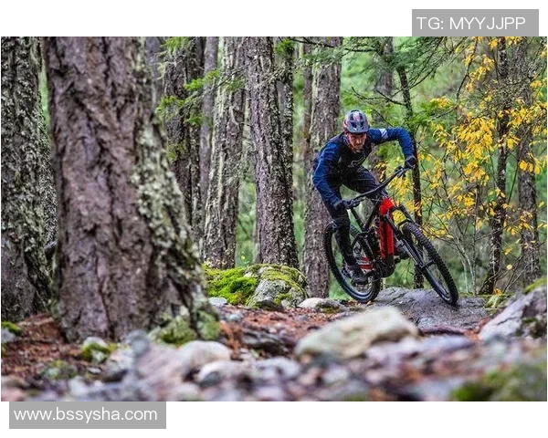 武汉极限运动队协作研究与配合策略探讨助力运动表现提升