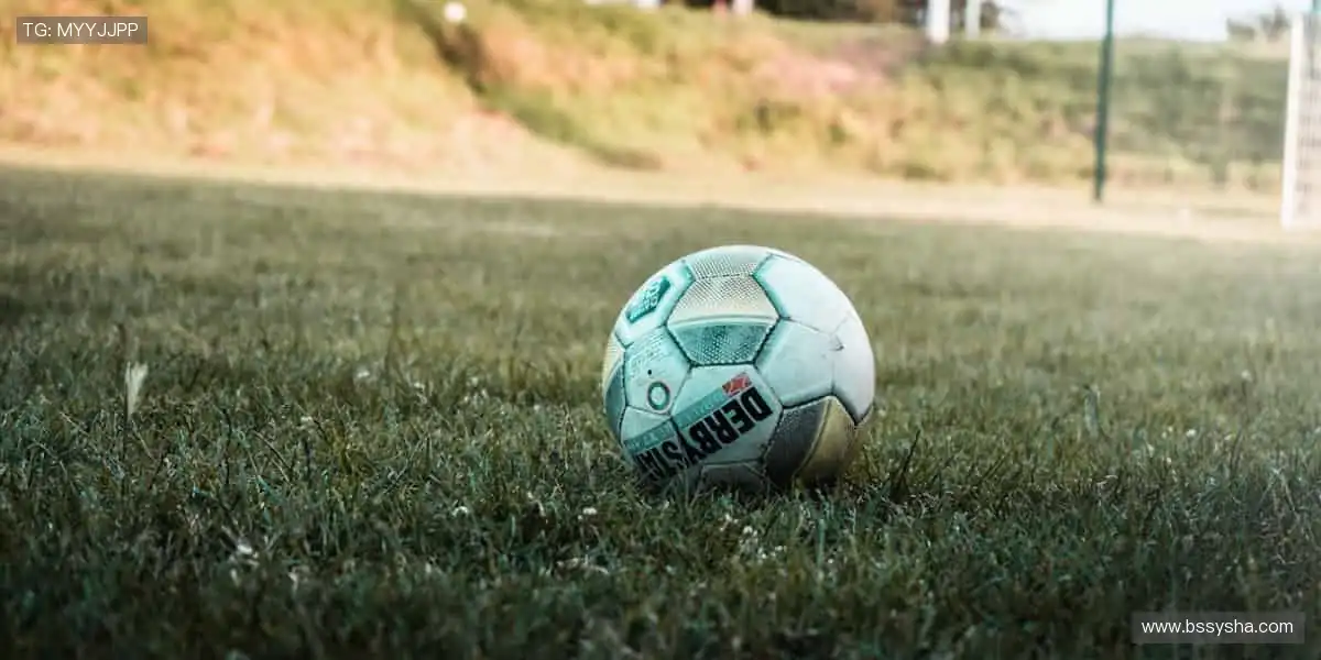 💻 多屏同看，精彩永不卡顿！