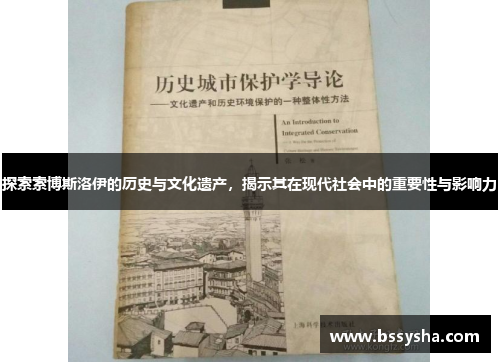 探索索博斯洛伊的历史与文化遗产，揭示其在现代社会中的重要性与影响力