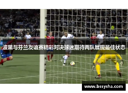波黑与芬兰友谊赛精彩对决球迷期待两队展现最佳状态